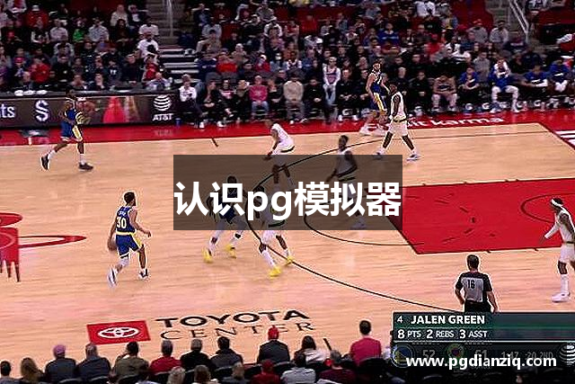 认识pg模拟器
